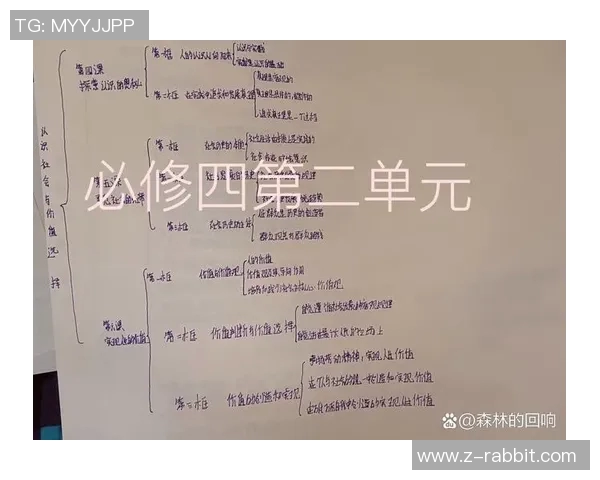 方便与莱的对比分析探讨生活中的选择与价值观念